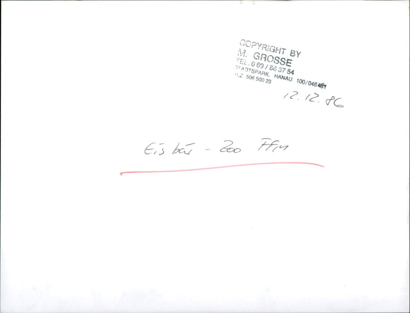 ANIALS BAREN EISBAREN TEL STADTSPARK HANAU GROSSE - Vintage Photograph