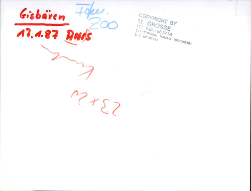 1987 ROQS ECBAREN TOKE ANOS TEL STADTSPARK HANAU GROSSE - Vintage Photograph