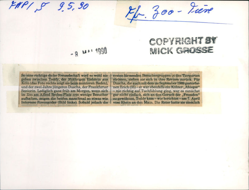 1990 ROQS TEDDY OLD ICE BARIN OUT STREAM THEY SWE ERICH - Vintage Photograph