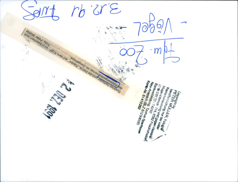 1901 Zoo Frankfurt - Vintage Photograph