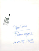 Birds / Flamingos - Zoo Animals - Vintage Photograph