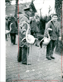 Birds / Flamingos - Zoo Animals - Vintage Photograph