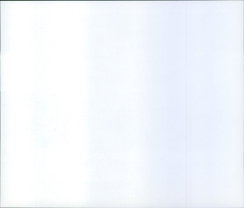 Flamingo - zoo animals - Vintage Photograph