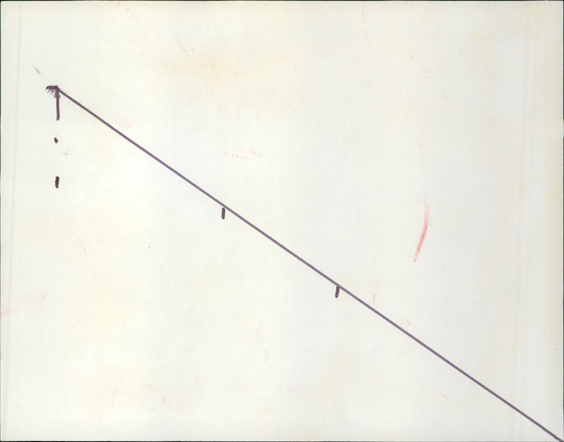 1984 TIEDE FLAMINGO FRANKFURT ZOO HOSTING NEW YEARS EVE BANKING NIGHT - Vintage Photograph