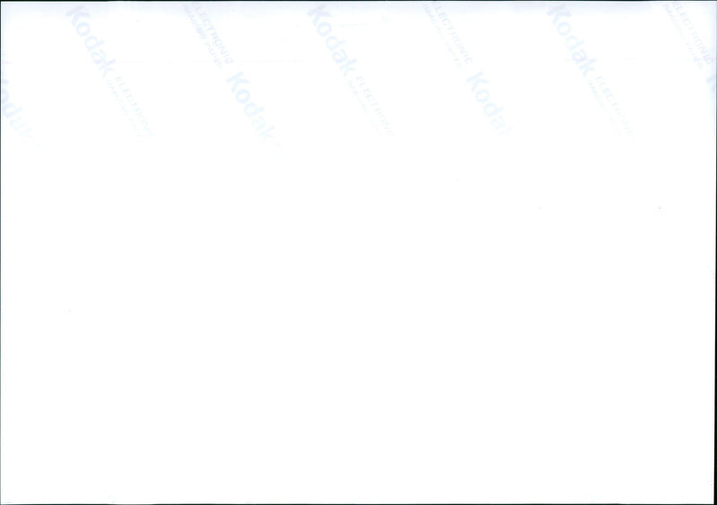 Chilean flamingo family - Vintage Photograph