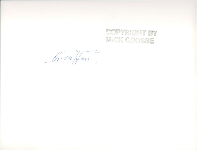 AND GIRAFFES ZOO HEN GIRAFFE - Vintage Photograph