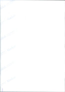 1999 ANIMAL YOUNG FOSSAS UNIQUE CREATIVITY CATS MADAGASCAR PRESENTED - Vintage Photograph