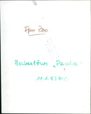 Berber lion "Pasha" from the Frankfurt Zoo - Vintage Photograph