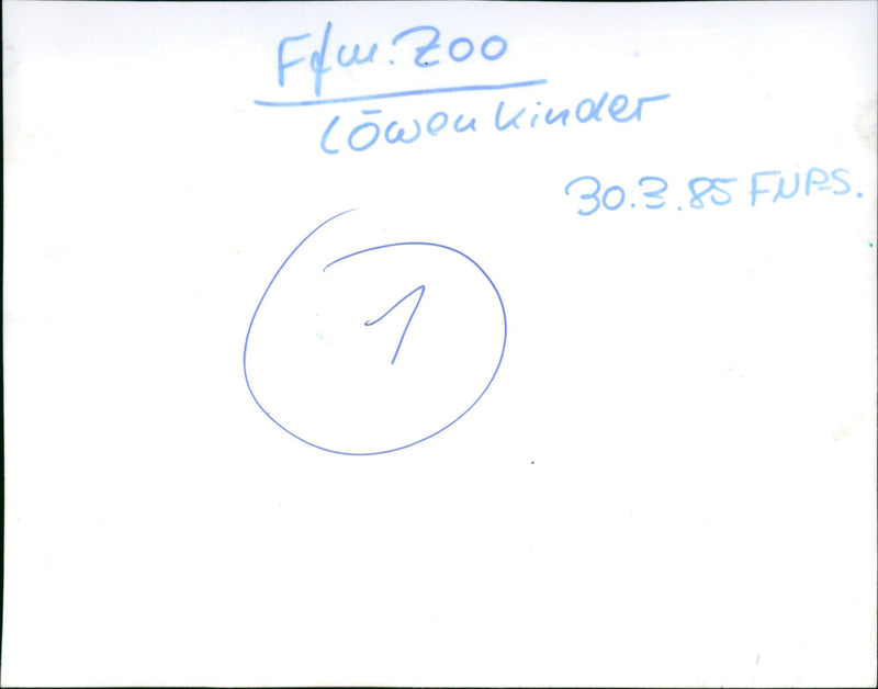 Lion children from Frankfurt Zoo - Vintage Photograph