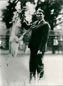 Antelope from the Frankfurt Zoo - Vintage Photograph