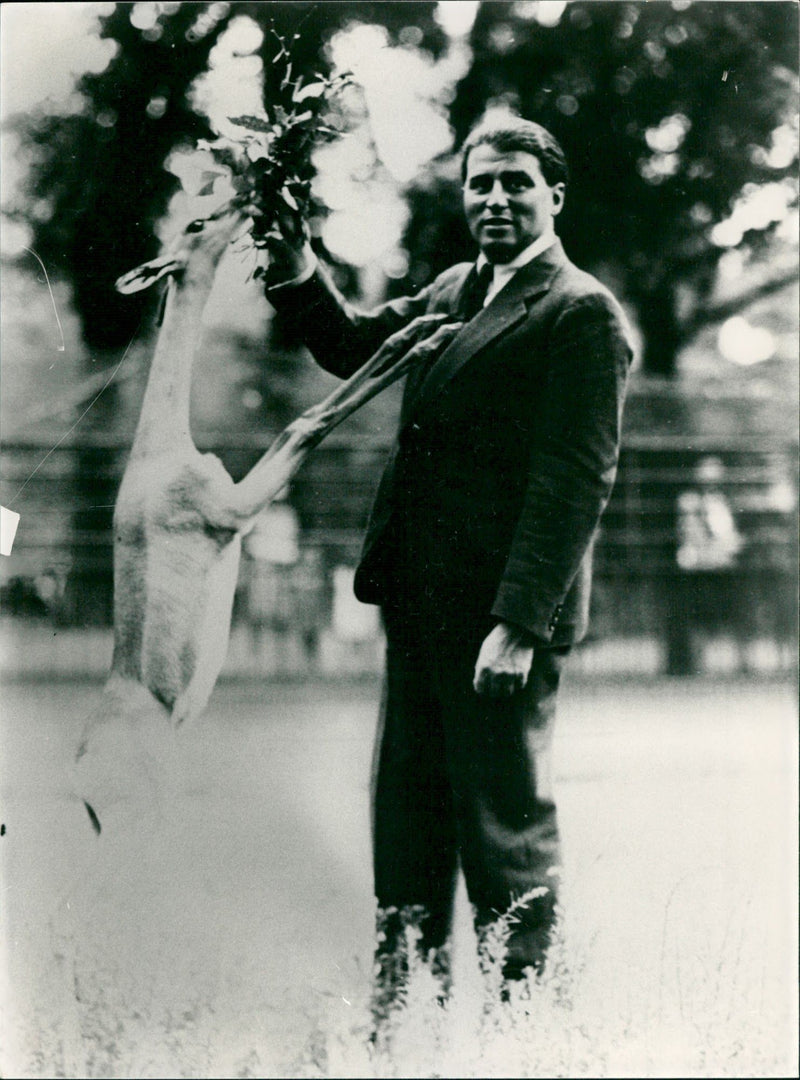 Antelope from the Frankfurt Zoo - Vintage Photograph