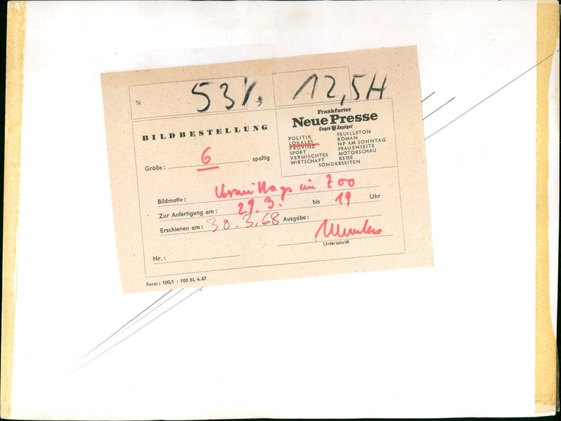 Goats in the Frankfurt Zoo - Vintage Photograph