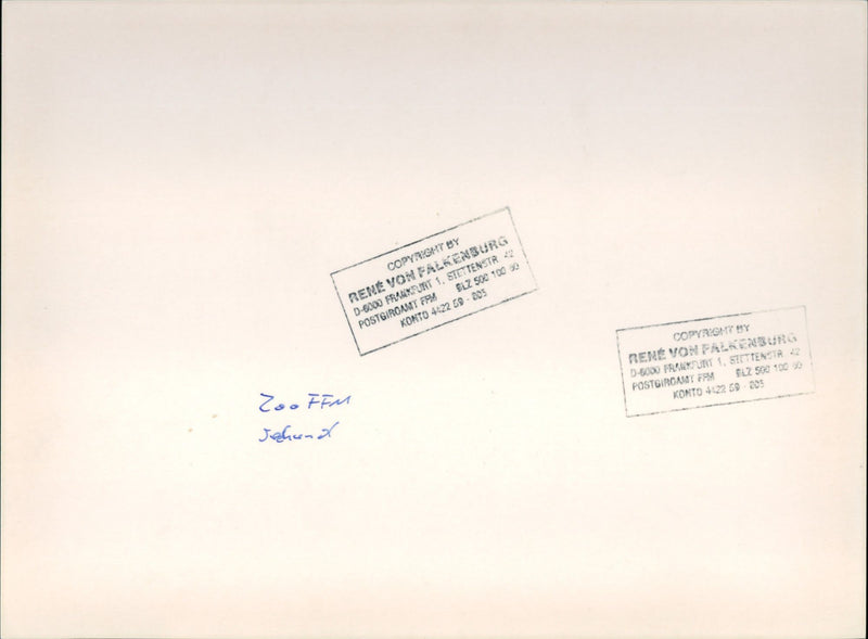 SELLS HAVE DISTANCED THEMSELVES LAND SUCKERS - Vintage Photograph