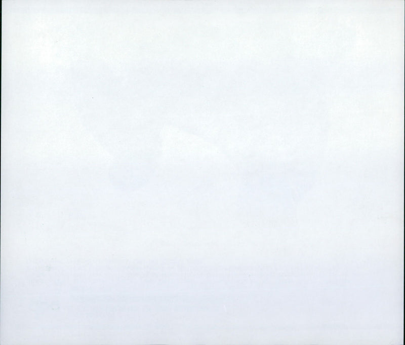 1993 WEEKS YOUNG DWARF SEABREAM OFFSPRING TOGETHER HIS MOTHER HEART - Vintage Photograph