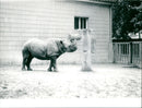 Frankfurt Zoo - Vintage Photograph