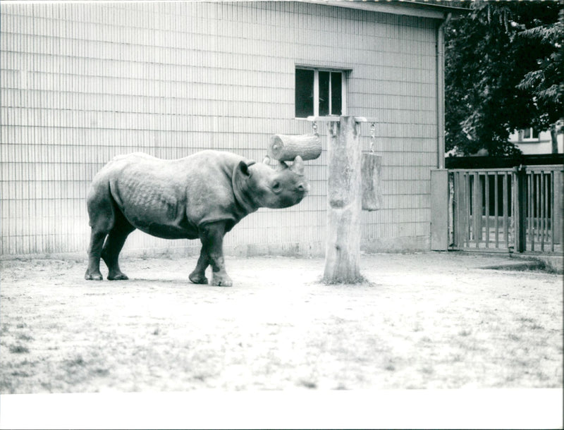 Frankfurt Zoo - Vintage Photograph