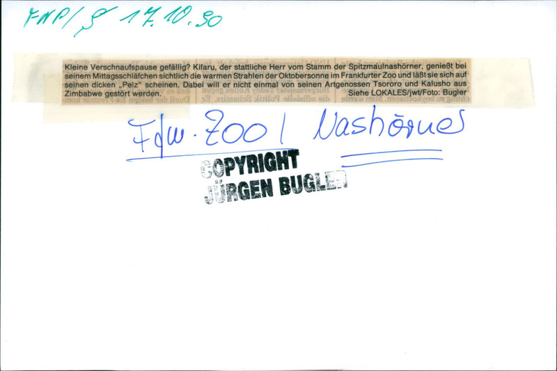 Frankfurt Zoo - Vintage Photograph