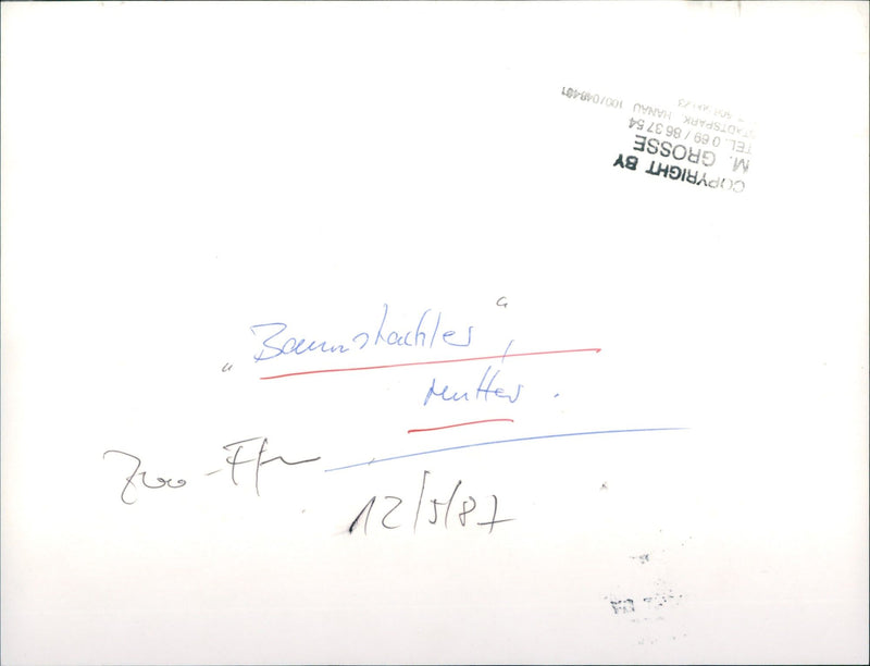 TACHLER TEL TADTSPARK HANAU ZOC GROSSE - Vintage Photograph