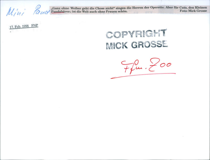 Zoo animals: red panda - Vintage Photograph