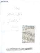 Sun bear - Vintage Photograph