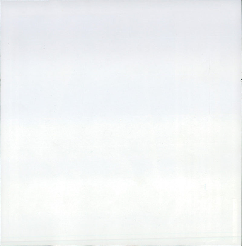 1995 HIGH SEPARATE CLIFF JUMPER NET GIRAFFE - Vintage Photograph