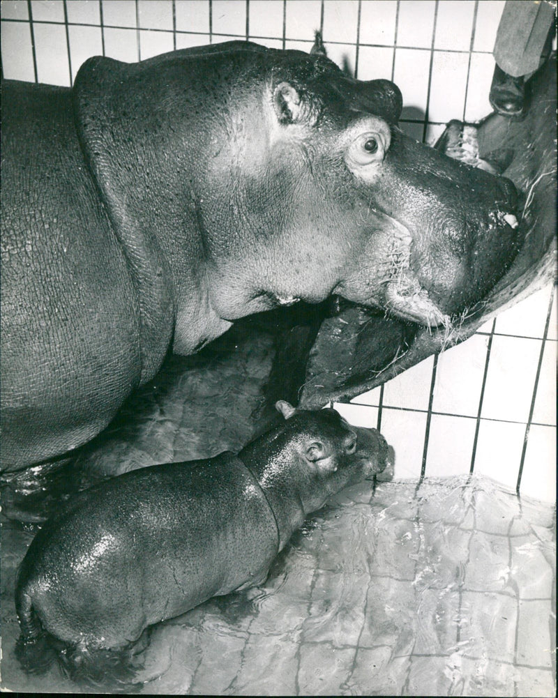 JEODE ACCEPTING THIS PHOT - Vintage Photograph