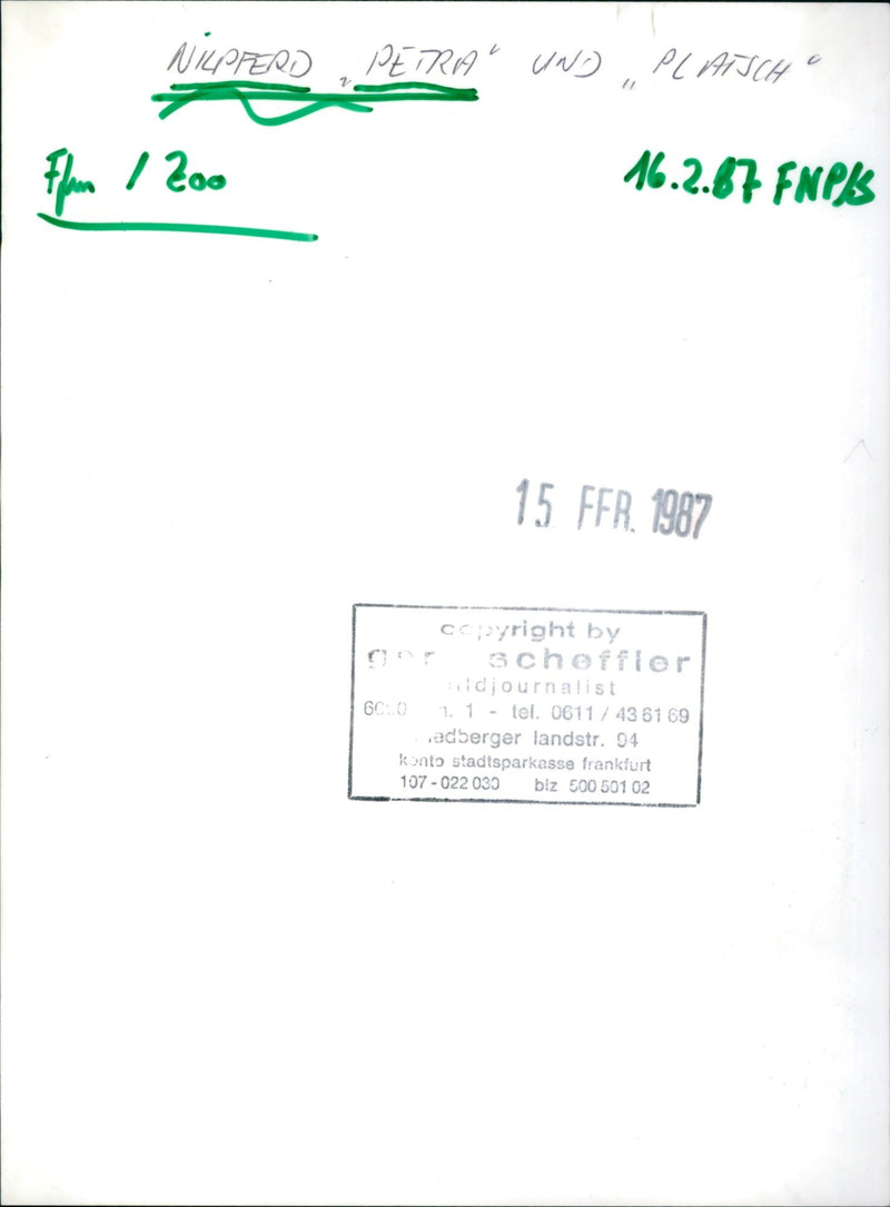 1987 JEODE NILLERD PETRA AND FIM FNPLS FFR CCPYRIGHT - Vintage Photograph