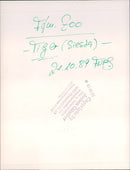 Tiger in the Frankfurt Zoo - Vintage Photograph