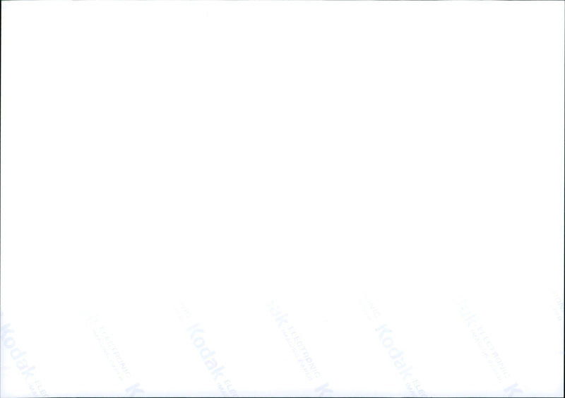 Sumatran tiger in the Frankfurt Zoo - Vintage Photograph