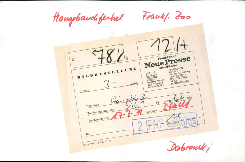 Pot-bellied pig in the Frankfurt Zoo - Vintage Photograph