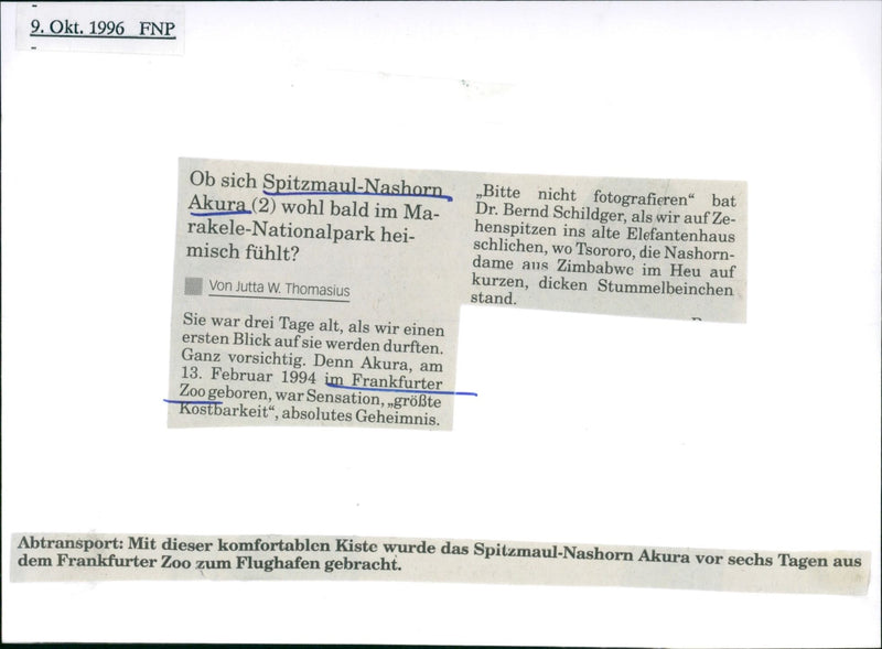 Frankfurt Zoo - Vintage Photograph