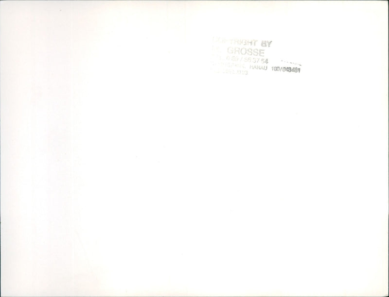 Frankfurt Zoo - Vintage Photograph