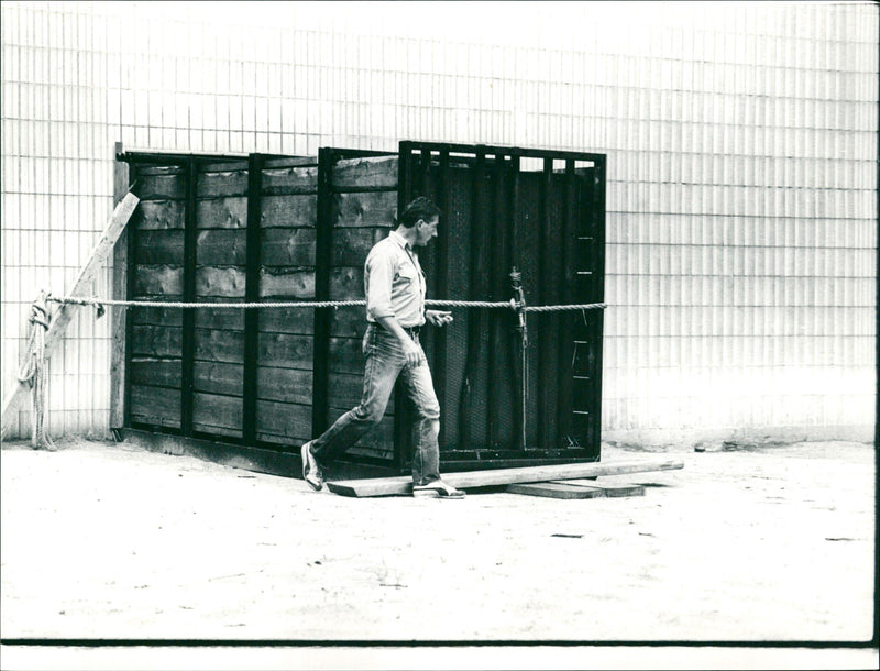 Frankfurt Zoo - Vintage Photograph