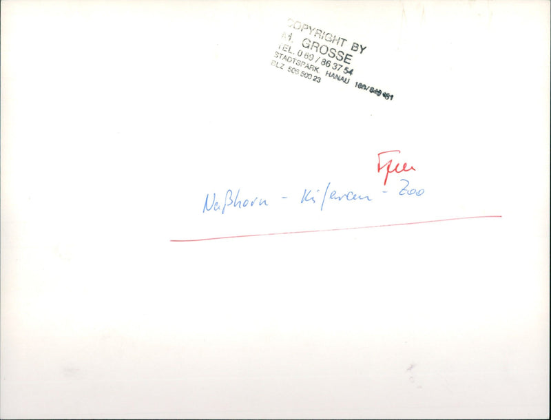 Frankfurt Zoo - Vintage Photograph