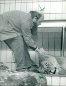 1988 TIES OUTBREAK KATIG CAREGIVER ALEX DRAWS DEAF MENFT - Vintage Photograph