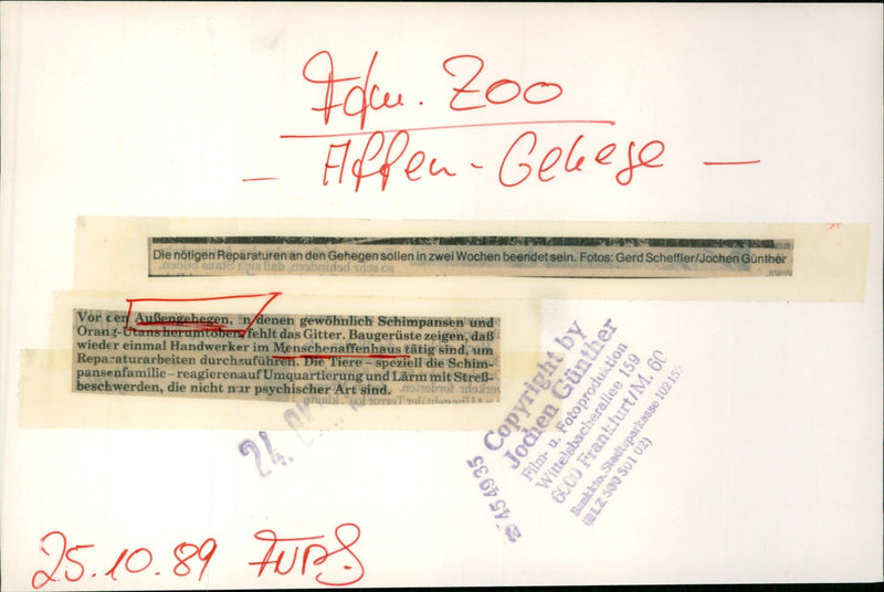 1989 TIESHAUS GEEGE DIFFERENT CONVERSION CONSTRUCTION TIERH FILM - Vintage Photograph