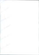 TIESE FRARIUM ANGEN YOUNG AFRICAN ROCK PYTHONS HATCH TUESDAY - Vintage Photograph