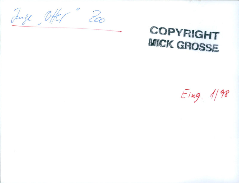 YOUNG OTTER EING - Vintage Photograph