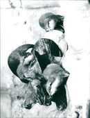 YOUNG OTTER EING - Vintage Photograph