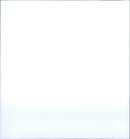 1997 YOUNG OTTER EING FRANKFURT EUGELY LOOKS - Vintage Photograph