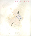 Snakes in the Exotarium, Frankfurt Zoo - Vintage Photograph