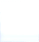 1998 ANIMALS EXOTARIUM VERSCH YOUNG PEACOCK EYES STINGRAYS - Vintage Photograph