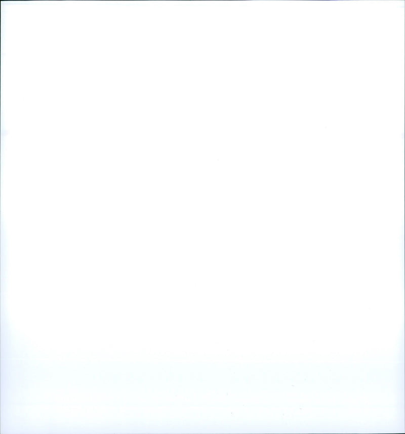 1998 ANIMALS EXOTARIUM VERSCH YOUNG PEACOCK EYES STINGRAYS - Vintage Photograph