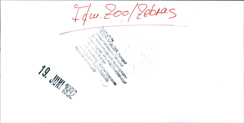 Zebra - zoo animals - Vintage Photograph