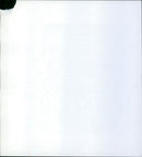 Zebras from the Frankfurt Zoo - Vintage Photograph