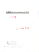 Zebras from the Frankfurt Zoo - Vintage Photograph