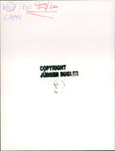 Zoo animals: wolf - Vintage Photograph