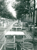 1997 ZEIL TREES LANTERNS PAVING STONES WAFF JOCHEN GUNTHO FILM - Vintage Photograph