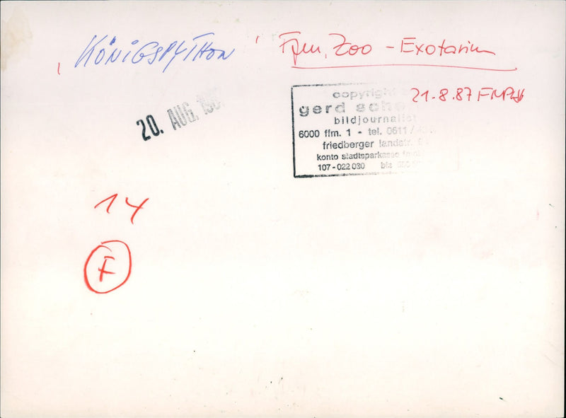 FRARIUM ANGEN PYTHONS ZOO EXOTARIA COPYILER TIESE - Vintage Photograph