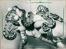 FRARIUM ANGEN PYTHONS ZOO EXOTARIA COPYILER TIESE - Vintage Photograph